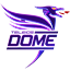 Teleios Dome official logo